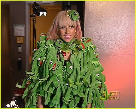 lady gaga outfits kermit. And since Ally mentioned Gaga